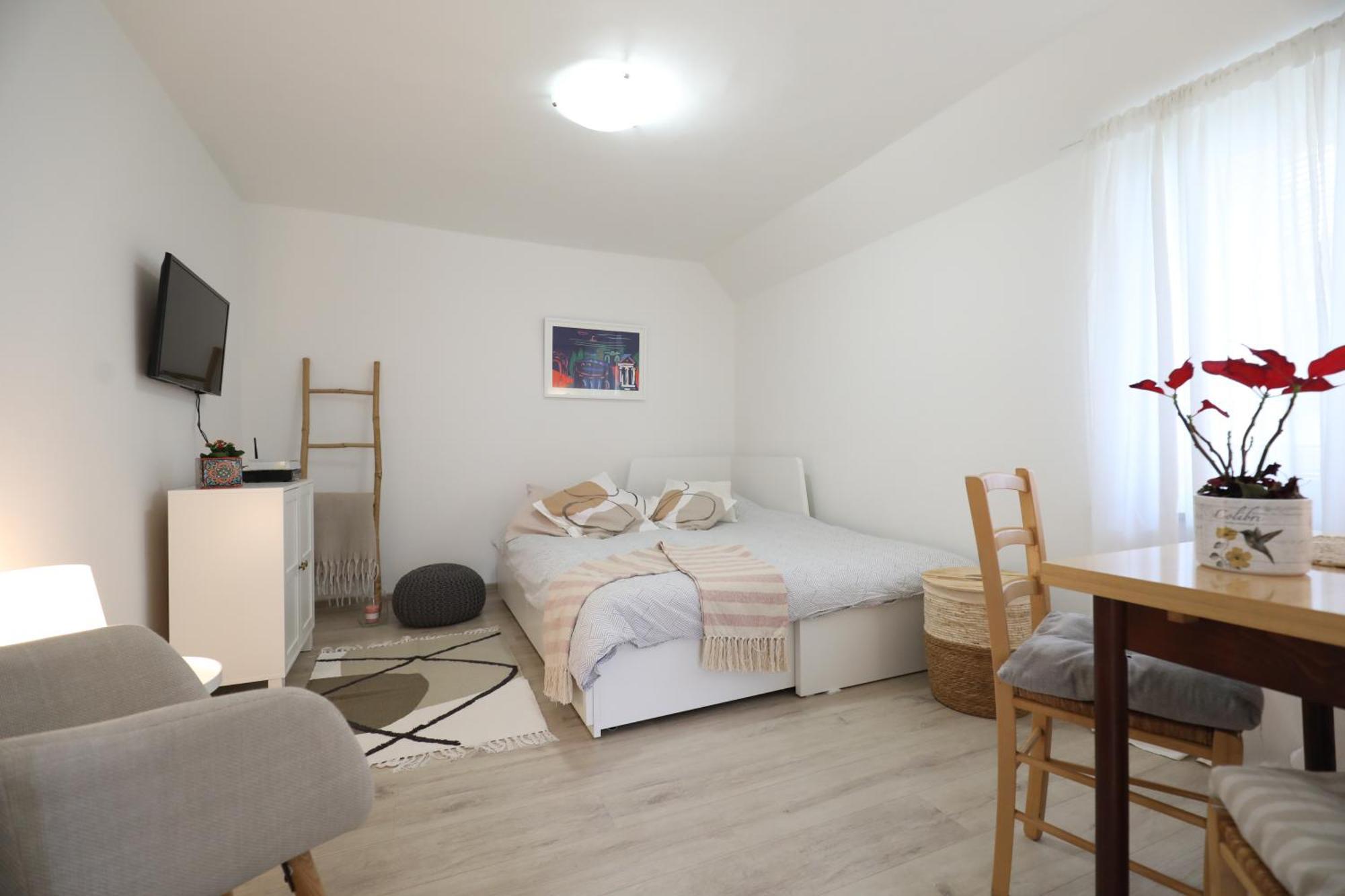 Apartment Mir *