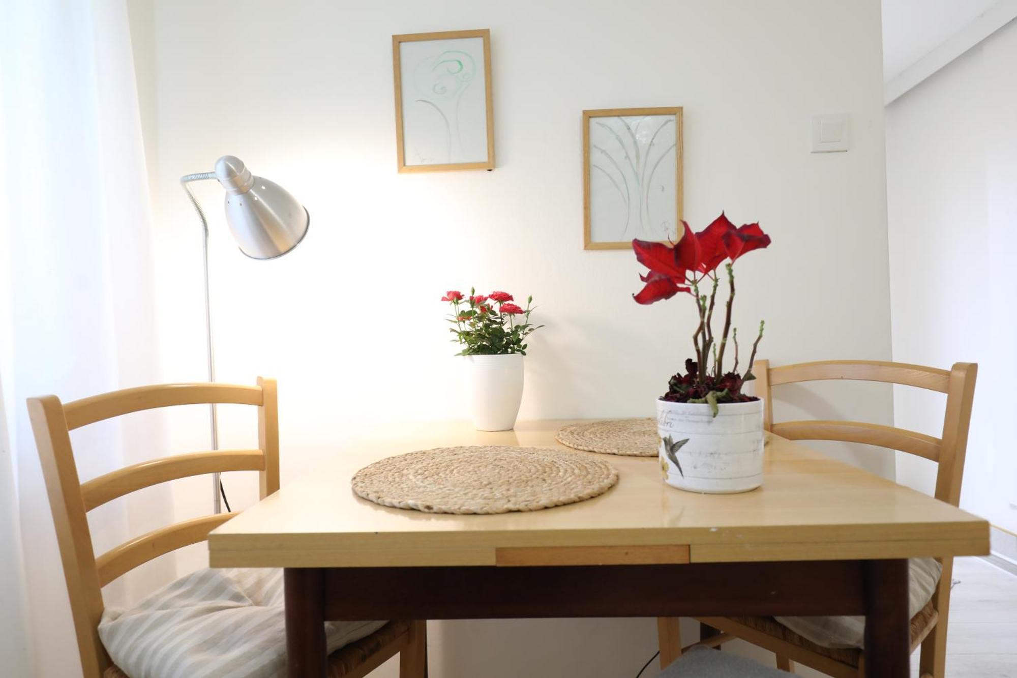 Mir Apartment